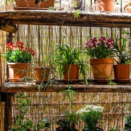 A Casa Di Amici * Palermo